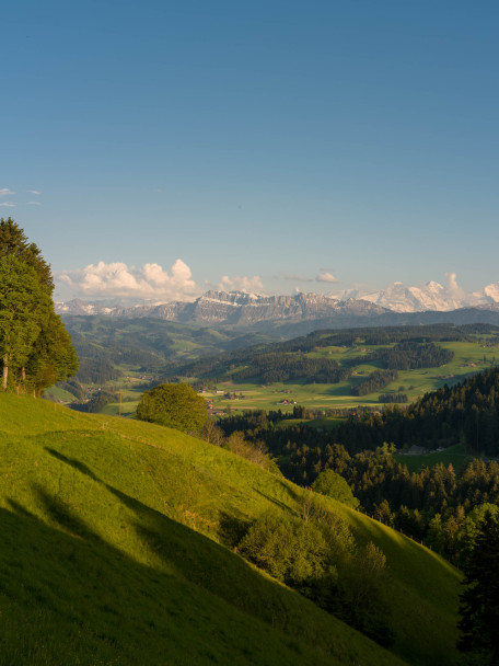 Emmental